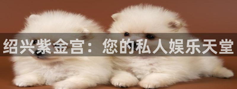 永盈welcome平台主管：绍兴紫金宫：您的私人娱乐天堂