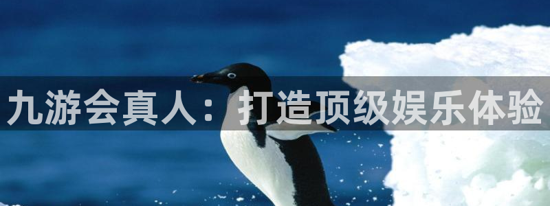 永盈welcome登录界面入口：九游会真人：打造顶级娱乐体验
