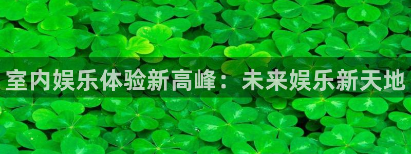 永盈welcome体育网页版入口：室内娱乐体验新高峰：未来娱乐新天地