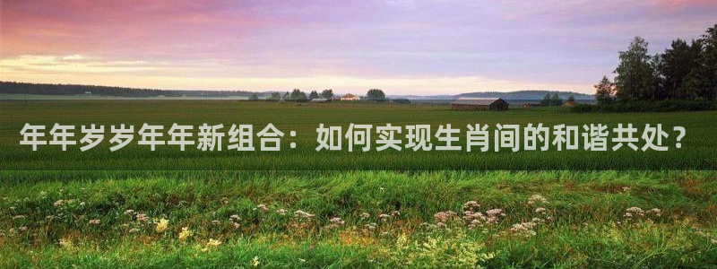永盈welcome集团：年年岁岁年年新组合：如何实现生肖间的和谐共处？