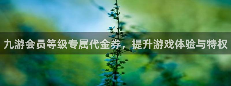 永盈welcome3官网登录：九游会员等级专属代金券，提升游戏体验与特权