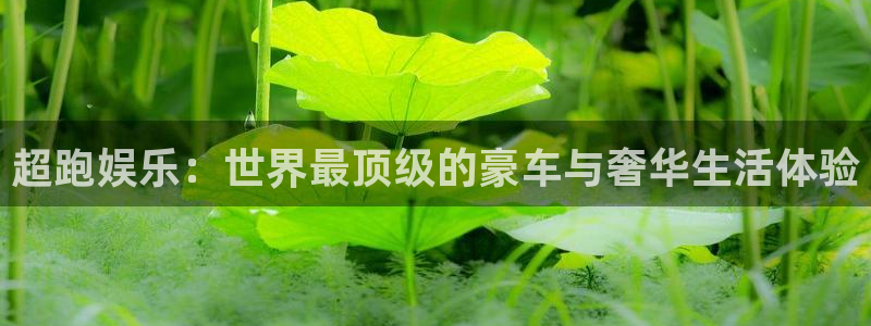 永盈welcome体育注册代理：超跑娱乐：世界最顶级的豪车与奢华生活体验