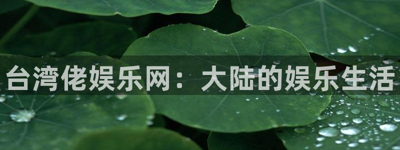 永盈welcome现在优惠多少：台湾佬娱乐网：大陆的娱乐生活