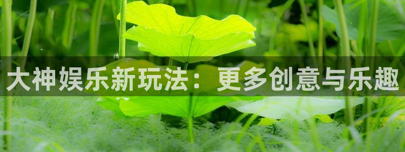 永盈welcomekgame：大神娱乐新玩法：更多创意与乐趣
