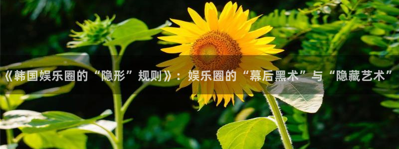 永盈welcome体育官网注册：《韩国娱乐圈的“隐形”规则》：娱乐圈的“幕后黑术