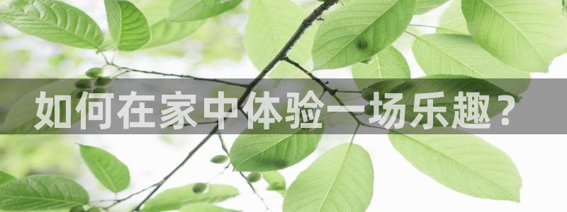 永盈welcome体育官网：如何在家中体验一场乐趣？