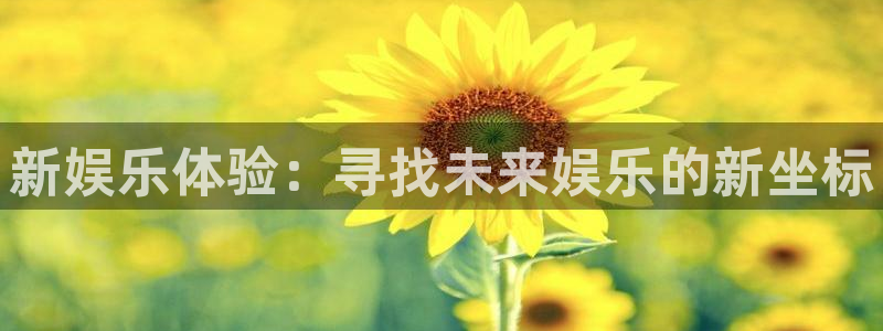 永盈welcome登录界面入口：新娱乐体验：寻找未来娱乐的新坐标