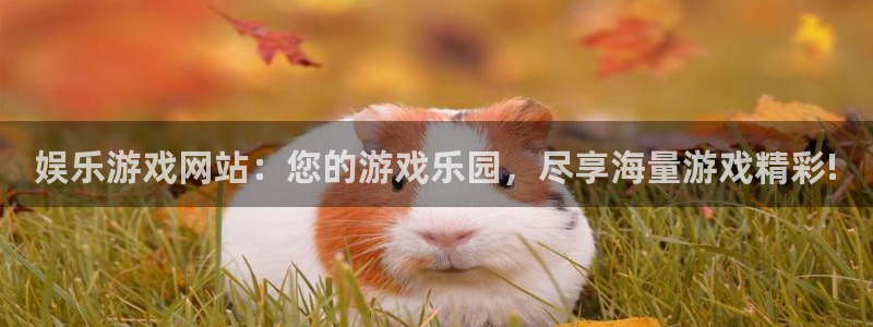 永盈welcome3注册：娱乐游戏网站：您的游戏乐园，尽享海量游戏精彩!