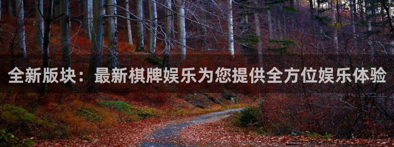 永盈welcome体育3：全新版块：最新棋牌娱乐为您提供全方位娱乐体验
