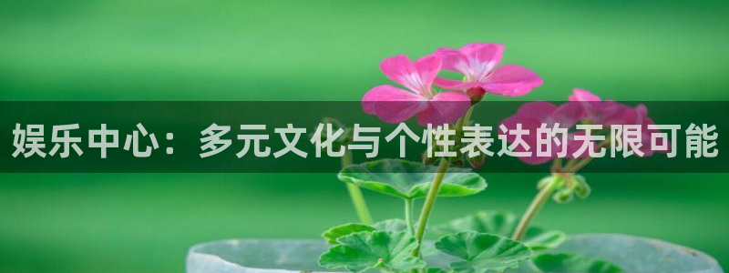 永盈welcome3注册：娱乐中心：多元文化与个性表达的无限可能