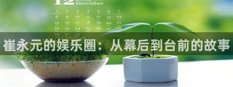永盈welcome4：崔永元的娱乐圈：从幕后到台前的故事