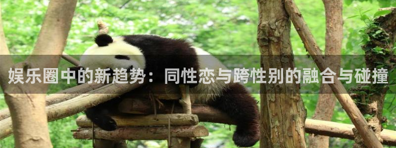 永盈welcome：娱乐圈中的新趋势：同性恋与跨性别的融合与碰撞
