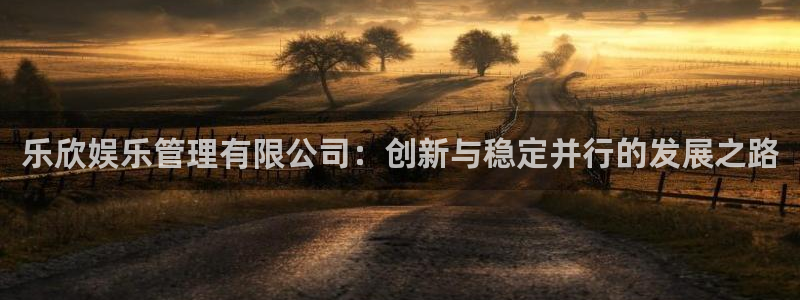 永盈welcome注册：乐欣娱乐管理有限公司：创新与稳定并行的发展之路