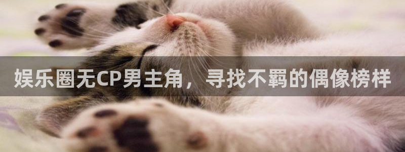 永盈welcome平台开户：娱乐圈无CP男主角，寻找不羁的偶像榜样