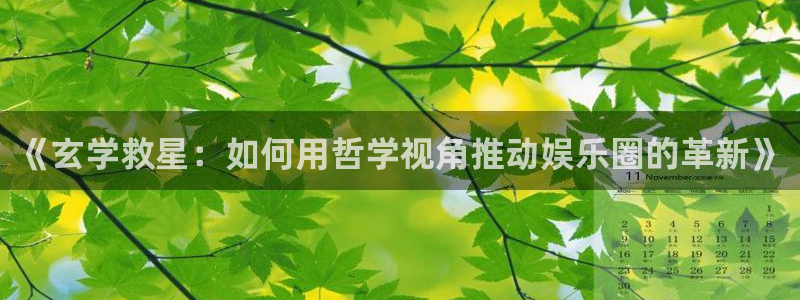 永盈welcome体育老板是谁：《玄学救星：如何用哲学视角推动娱乐圈的革新》
