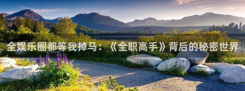 永盈welcome体育3：全娱乐圈都等我掉马：《全职高手》背后的秘密世界