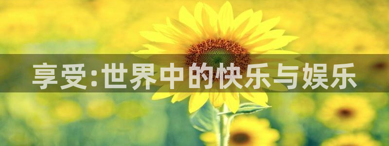 永盈welcome体育平台总代理：享受:世界中的快乐与娱乐