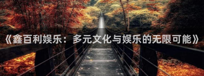 永盈welcome体育注册平台：《鑫百利娱乐：多元文化与娱乐的无限可能》