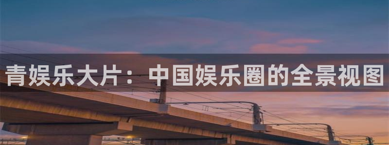 永盈welcome电子有限公司：青娱乐大片：中国娱乐圈的全景视图