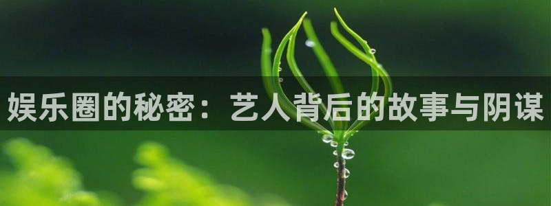 永盈welcome集团：娱乐圈的秘密：艺人背后的故事与阴谋