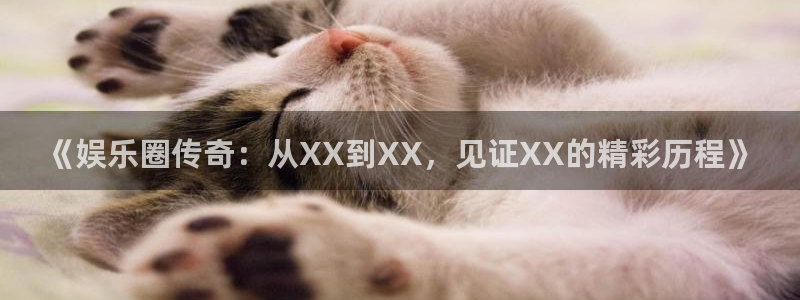 永盈welcome凯捷平台：《娱乐圈传奇：从XX到XX，见证XX的精彩历程》