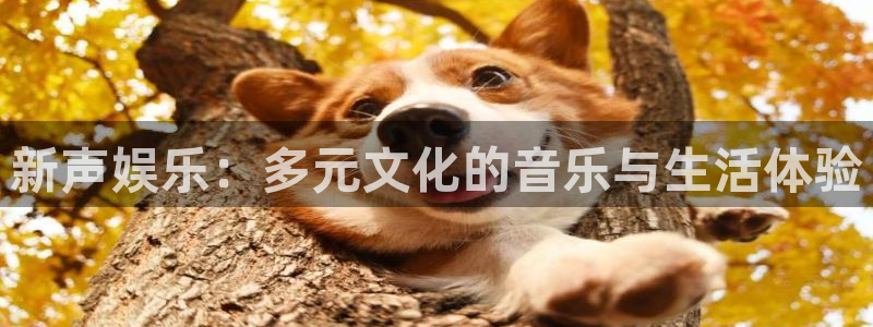 永盈welcome体育注册登录入口：新声娱乐：多元文化的音乐与生活体验