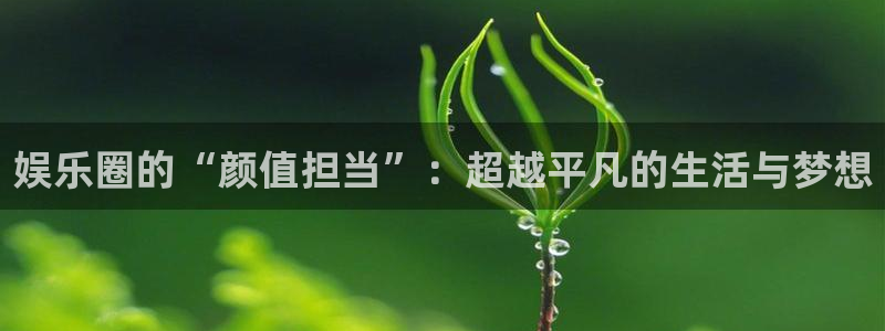 永盈welcome3官网登录：娱乐圈的“颜值担当”：超越平凡的生活与梦想