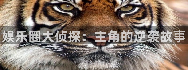 永盈welcome体育注册：娱乐圈大侦探：主角的逆袭故事